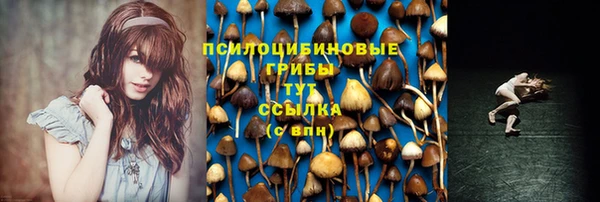 МДПВ Алексин