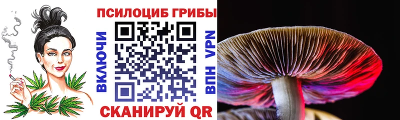 Галлюциногенные грибы прущие грибы  купить закладку  KRAKEN вход  Пущино 